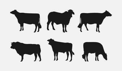 set of silhouettes of cow with different poses, gestures. isolated on white background. vector illustration.