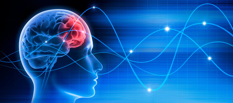 Male head with brain activity - Brain waves - X ray 3D EEG illustration