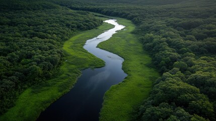 Breathtaking aerial view of a winding river flowing through lush green forest canopy creating a scenic landscape