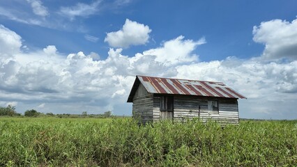 Rustic Shack in a Green Field Under a Blue Sky