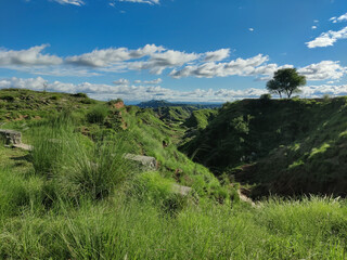 Lush Green Highlands of Sohawa Punjab with Deep Valleys and Lone Tree Beneath Clear Sky and Gentle Clouds