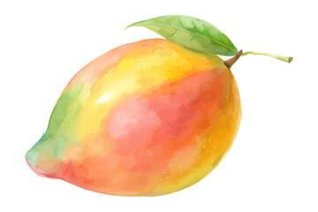 Watercolor tropical mango fruits isolated on white background