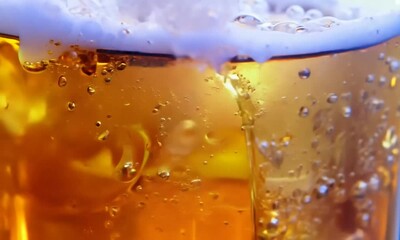 Crafting the Perfect Golden Brew With Bubbles Rising in the Glass on a Sunny Afternoon Generative AI