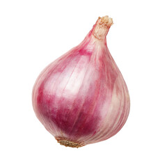 Fototapeta premium Single Red Onion on Transparent Background