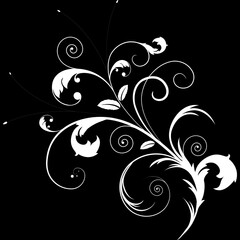 A beautiful white floral pattern with delicate flowers, set against a deep black&nbsp;background