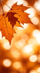 Golden Autumn Background with Soft Bokeh