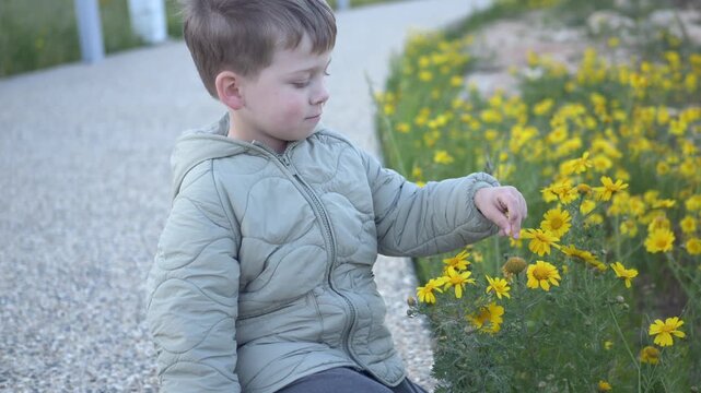 Curious toddler boy gently touches yellow chamomile flowers, observing their beauty with wonder. Scene captures harmony with nature, calm exploration, and the innocence of discovering something new