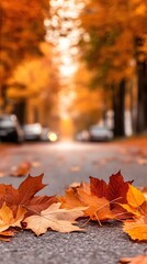 Fallen autumn leaves on asphalt road with blurred background and fall copy space for banner or seasonal street mockup