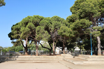 Recreational park, Mallorca island.
