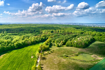 Widok z lotu ptaka na las
