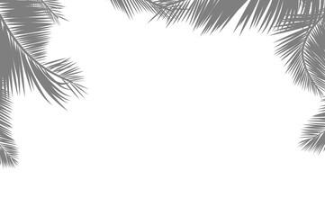 Gray Tropical Palm Leaf Border Frame with Transparent Background