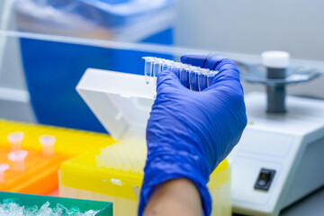 Close-up of scientist in blue protective glove carefully holding strip of clear reaction tubes, surrounded by essential laboratory equipment and colorful supplies in research setting.
