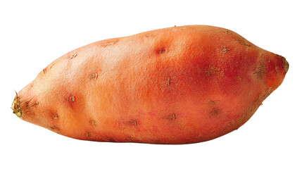 Single Red Sweet Potato Isolated on Transparent Background