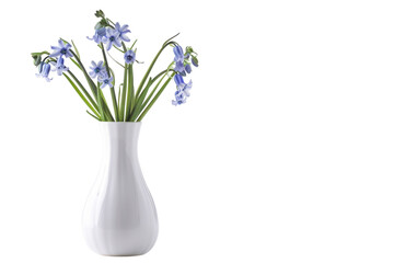 A gentle arrangement of delicate blue flowers in a white vase, bringing serene beauty to a minimalist space isolated on transparent background
