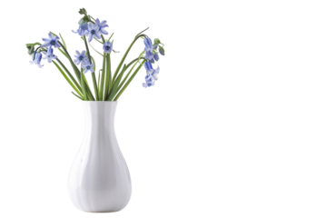 A gentle arrangement of delicate blue flowers in a white vase, bringing serene beauty to a minimalist space isolated on transparent background