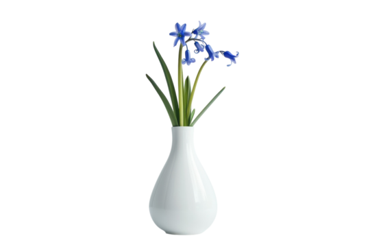A delicate blue flower arrangement in a sleek white vase against a minimalistic background enhancing its beauty and elegance isolated on transparent background