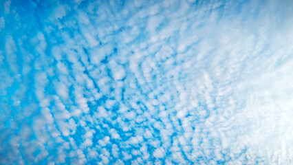 Obraz premium clear blue sky covered with small white clouds