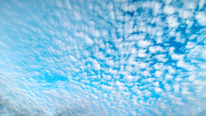 clear blue sky covered with small white clouds