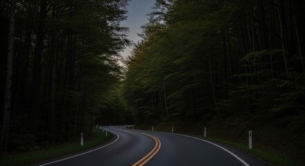 Fototapeta premium A winding mountain road leads through a stunning lush forest, perfect for adventure