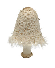 Close Up of a Delicate White Mushroom with Lacy Texture on Transparent Background
