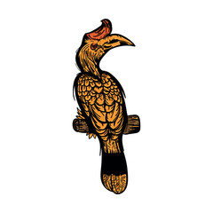 Rufous Hornbill Bird Illustration Vibrant Detailed Drawing of Exotic Avian