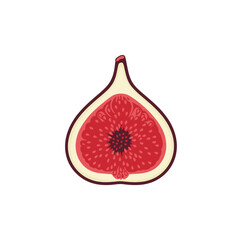 Halved Fig Illustration: Red Pulp, Seeds, and Pale Skin