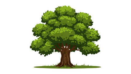 Cartoon tree  isolated on a white background. Simple modern style, vector tree for design use