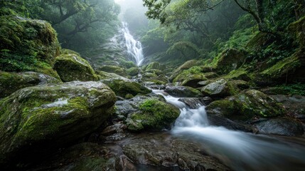 Majestic waterfall in lush rainforest