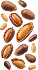 Obraz premium Argan nuts and kernels isolated on white background, natural edible nuts and seeds, healthy organic food ingredient, perfect for cooking and skincare