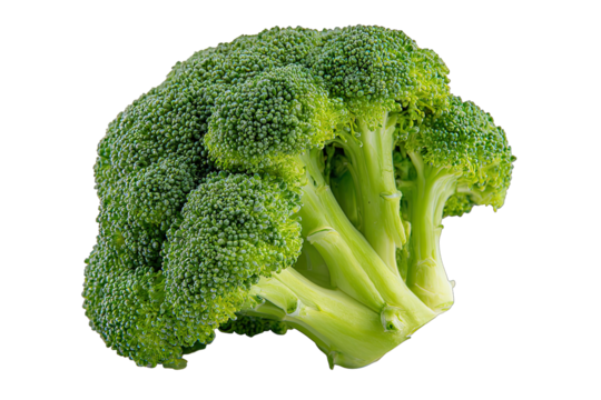 broccoli isolated on white background healthy vegetable concept