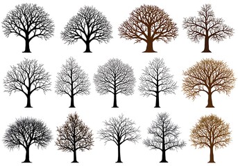 Obraz premium Winter Trees: A Silhouette Collection