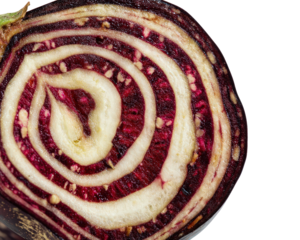 Closeup of a Spiral Cross Section of a Purple Root Vegetable with White Accents against a Black Background