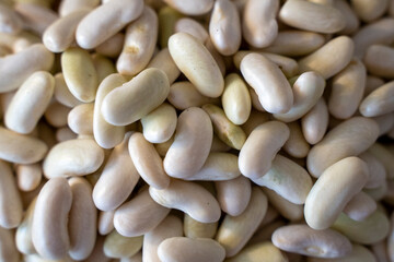white beans with their pods