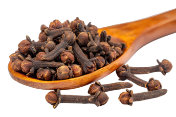cloves isolated on white background traditional spice