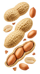 Peanuts in shells and shelled peanuts isolated on white background, healthy nuts for cooking and snacking