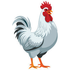 Vector illustration of white chicken flat cartoon icon, suitable for farm, poultry, rural, food, and agriculture themed design projects.