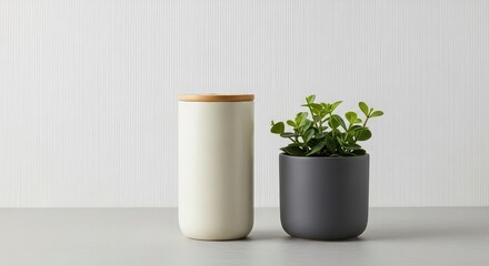 Minimalist design two objects tall light cream tumbler next to black planter with green plant