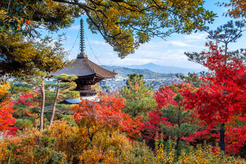 Scenic view of Jojakkoji Temple with beautiful foliage in autumn in Kyoto, Japan