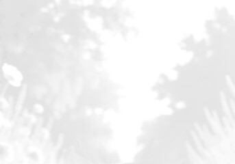 abstract white background © Yoye