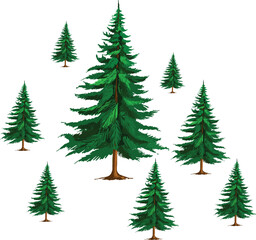 Vector illustration Realistic christmas tree. Vector 3d sprice, fir evergreen tree for merry cristmas, happy new year decoration design.