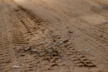 Close-up of fresh tire imprints with intricate tread patterns on a sandy, sunlit dirt road in a quiet natural setting.