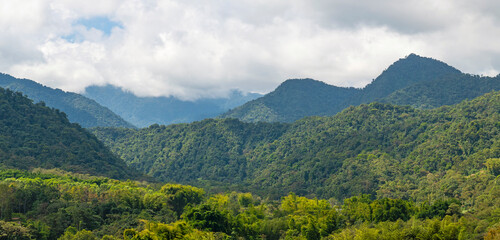 Naklejka premium Panorama of rainforest and cloud forest in the Andes mountain range, Mindo, Ecuador.