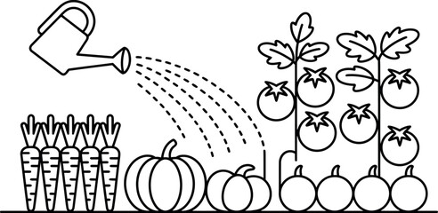 Line art illustration: Watering can irrigating carrots, pumpkins, tomatoes.