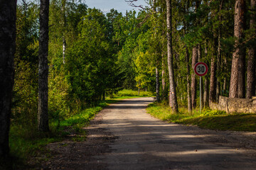 A narrow paved road winds through a lush green forest, featuring a 30 km/h speed limit sign and surrounded by tall trees.