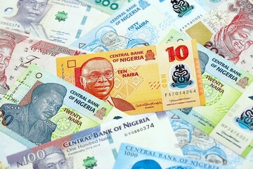 Nigerian naira currency money. The current banknotes lies on table in big amount