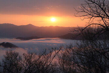 雲海から昇る朝日