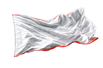 flag isolated on white background leadership victory symbol