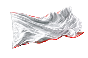 flag isolated on white background leadership victory symbol