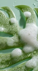 Green leaf, soap suds