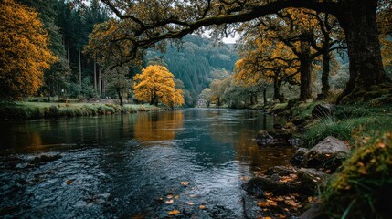 Autumnal river flowing through a wooded valley